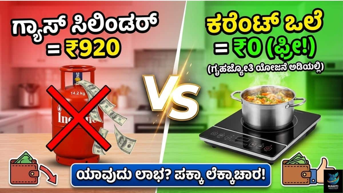 ಹೊಸ 'ಕರೆಂಟ್ ಒಲೆ' ತರ್ತೀರಾ? ಅಂಗಡೀಲಿ ಮೋಸ ಹೋಗ್ಬೇಡಿ!