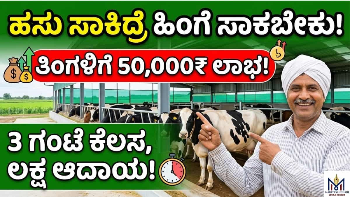 You said ಹಸು ಸಾಕಿದ್ರೆ ಹಿಂಗೆ ಸಾಕಬೇಕು! ತಿಂಗಳಿಗೆ 50,000₹ ಲಾಭ!
