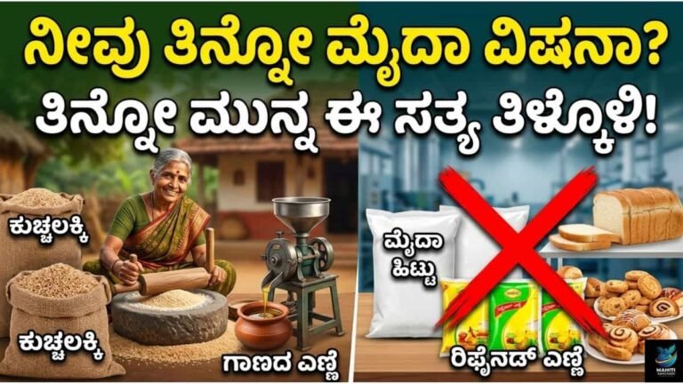 ನೀವು ತಿನ್ನೋ ಮೈದಾ ವಿಷನಾ? ತಿನ್ನೋ ಮುನ್ನ ಈ ಸತ್ಯ ತಿಳ್ಕೊಳಿ!