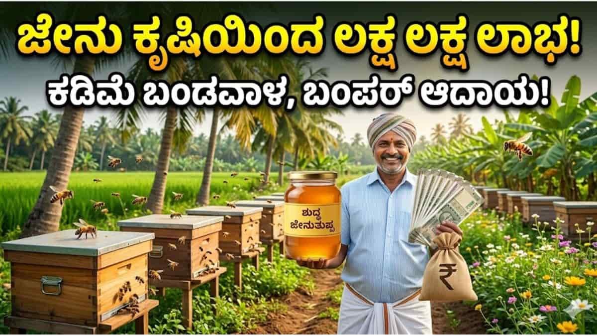 ಜೇನು ಕೃಷಿಯಿಂದ ಲಕ್ಷ ಲಕ್ಷ ಲಾಭ!