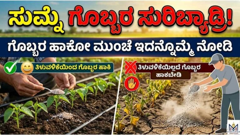 ಸುಮ್ನೆ ಗೊಬ್ಬರ ಸುರಿಬ್ಯಾಡ್ರಿ ಗೊಬ್ಬರ ಹಾಕೋ ಮುಂಚೆ ಇದನ್ನೊಮ್ಮೆ ನೋಡಿ