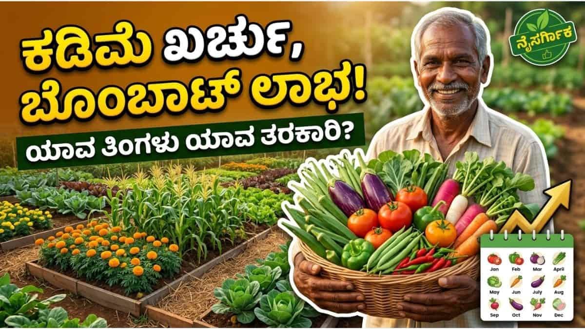 ಕಡಿಮೆ ಖರ್ಚು, ಬೊಂಬಾಟ್ ಲಾಭ! ಯಾವ ತಿಂಗಳು ಯಾವ ತರಕಾರಿ