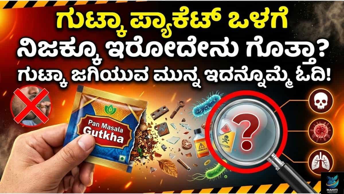 'ಗುಟ್ಕಾ' ಅನ್ನೋ ಹೆಮ್ಮಾರಿಯ ಅಸಲಿ ಕಥೆ