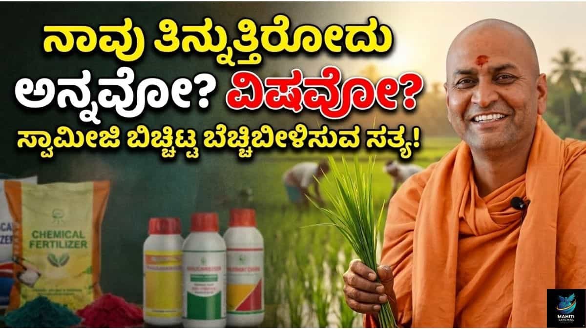 ನಾವು ತಿನ್ನುವ ಅನ್ನದಲ್ಲಿ ಸತ್ವವಿದೆಯೋ, ವಿಷವಿದೆಯೋ