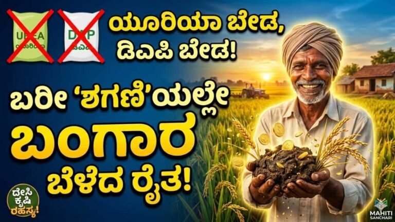 ಯೂರಿಯಾ ಡಿಎಪಿ ಬೇಡವೇ ಬೇಡ!