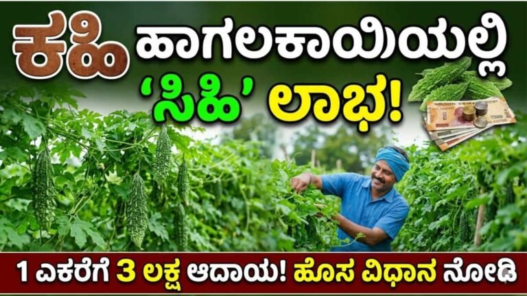 ರೈತನ ಬಾಳಲ್ಲಿ ಸಿಹಿ ತಂದ ಹಾಗಲಕಾಯಿ ಕೃಷಿ