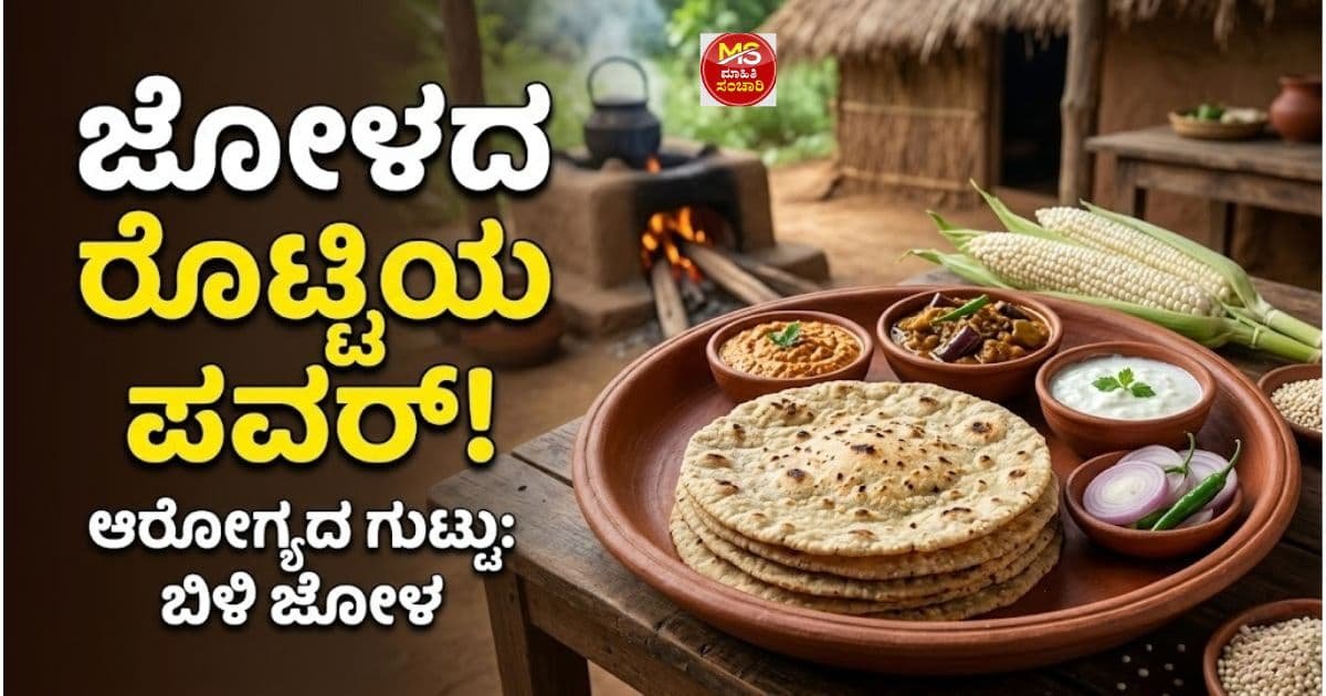 ಉತ್ತರ ಕರ್ನಾಟಕದ ಹೆಮ್ಮೆಯ ಜೋಳದ ರೊಟ್ಟಿ