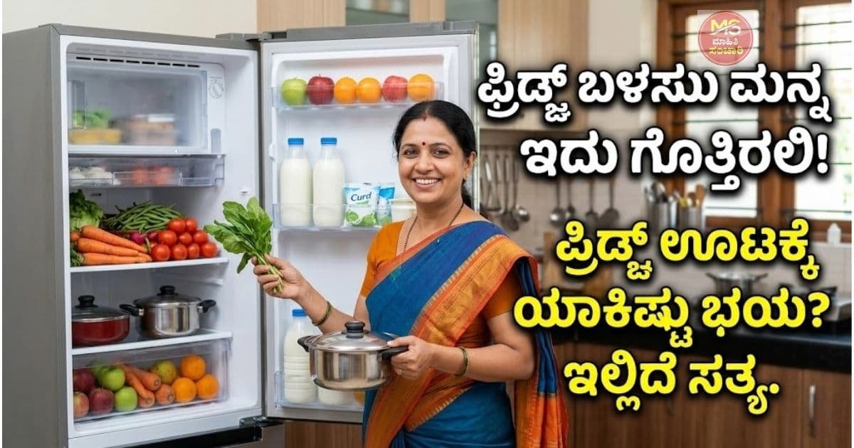 ಫ್ರಿಡ್ಜ್‌ನಲ್ಲಿಟ್ಟ ಆಹಾರ ಸೇವಿಸುವುದು ಆರೋಗ್ಯಕ್ಕೆ ಒಳ್ಳೆಯದಾ